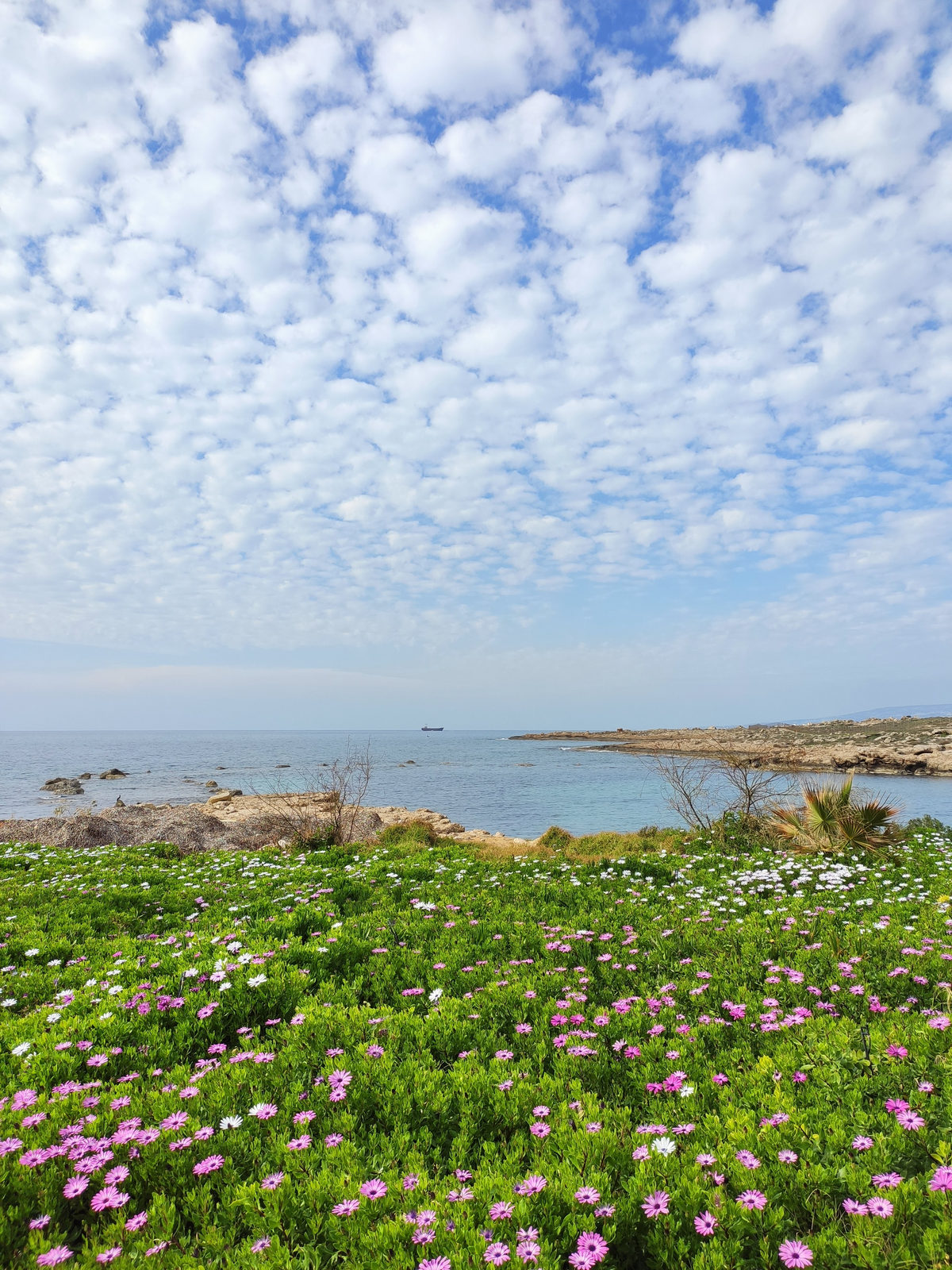 Paphos