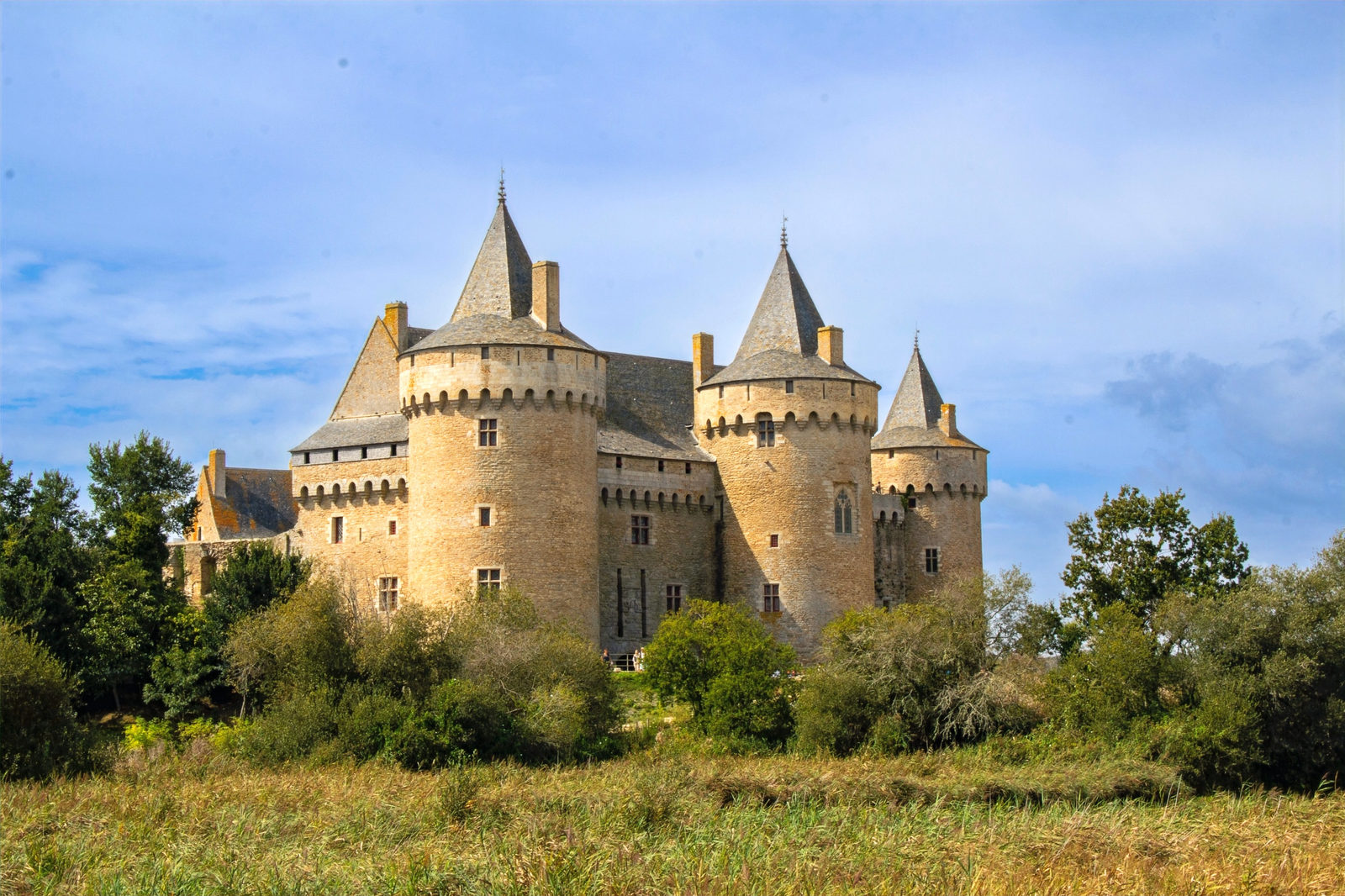 Castle of Suscinio