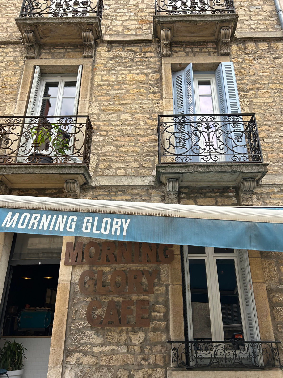 Morning Glory