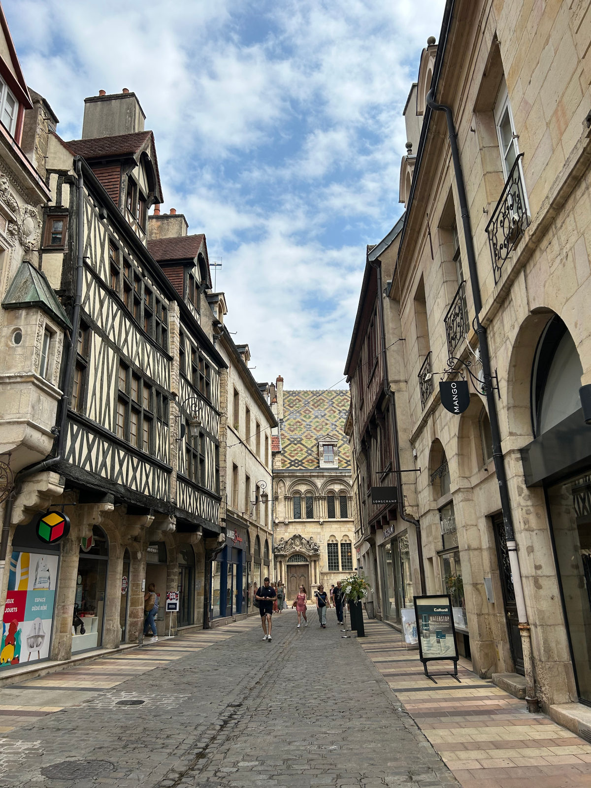 10 Best Things to Do in Dijon