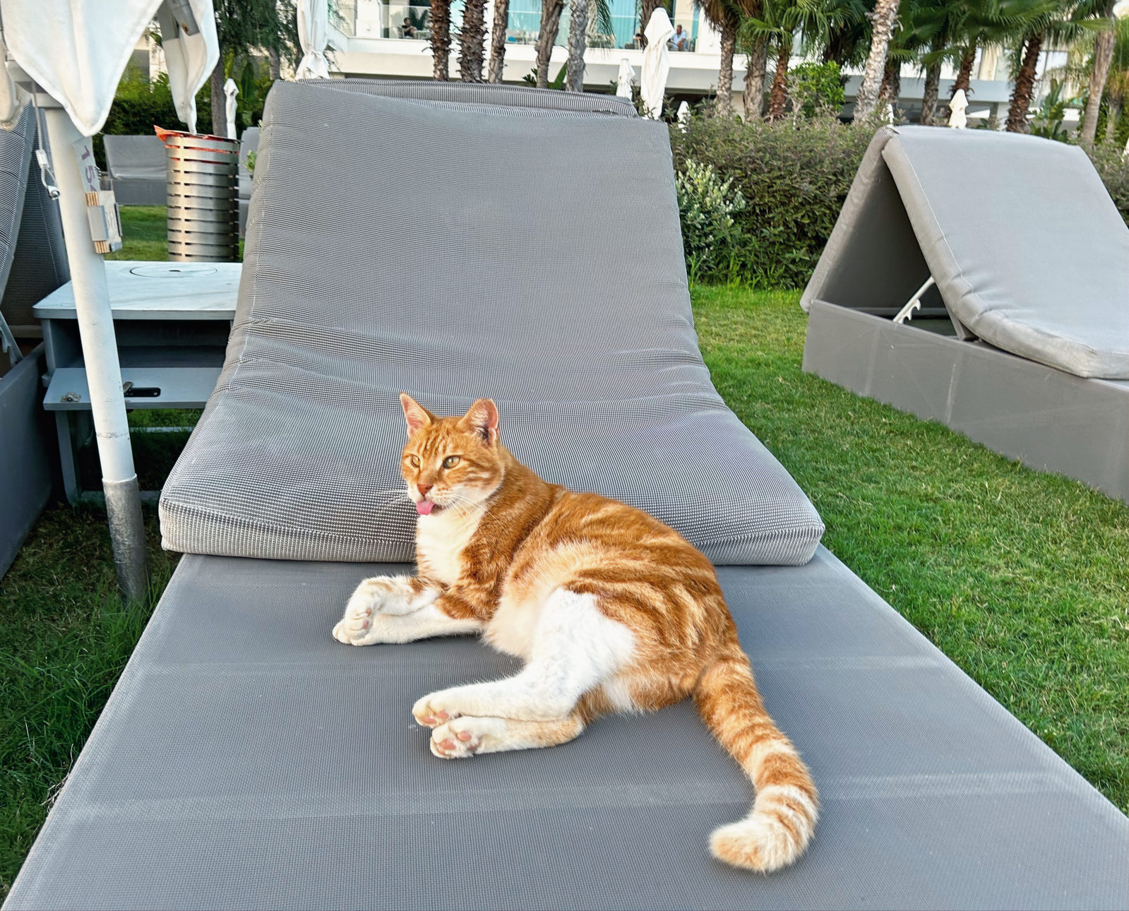 One Week Cyprus Itinerary