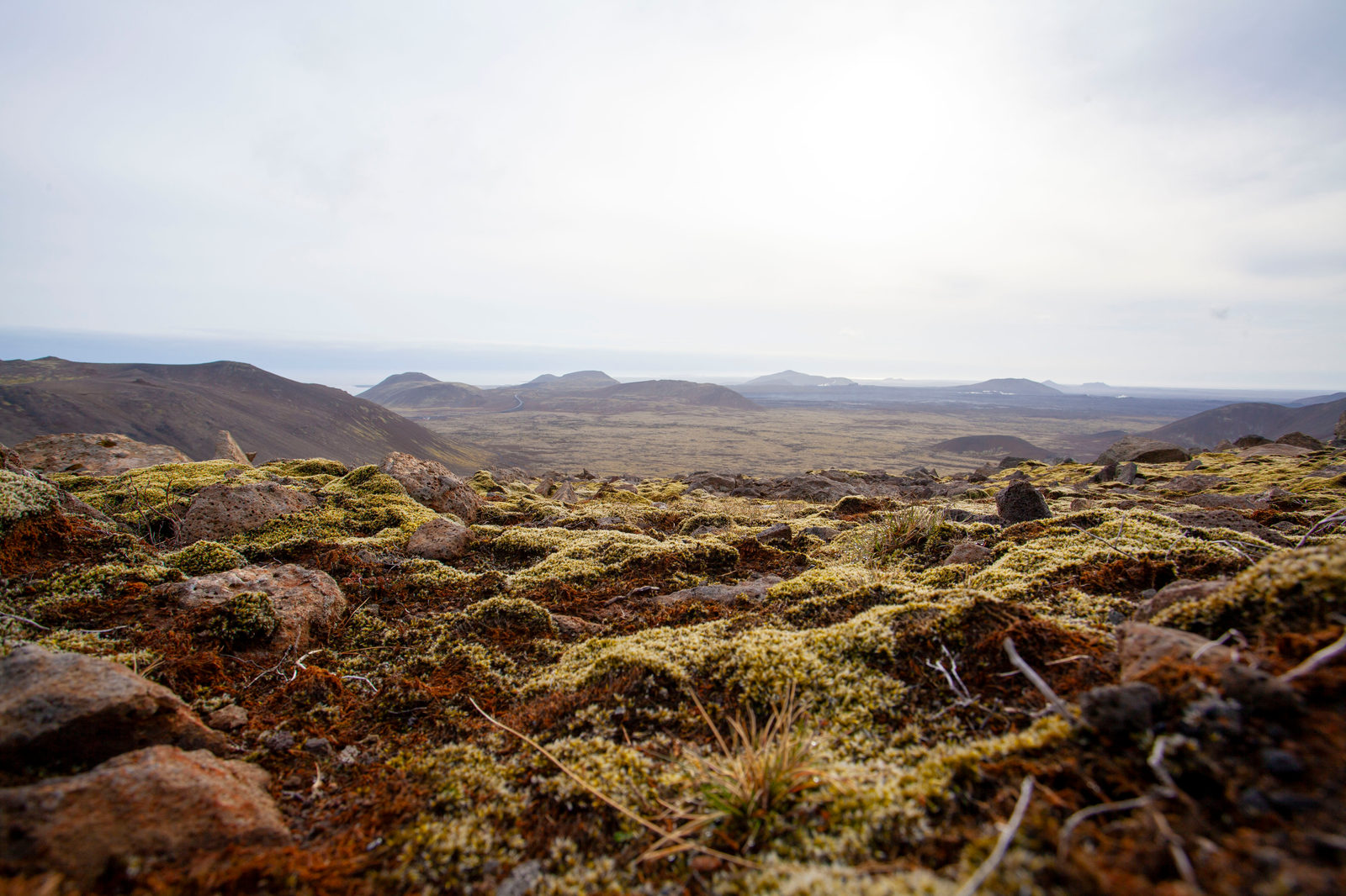 One Week Adventure in Iceland