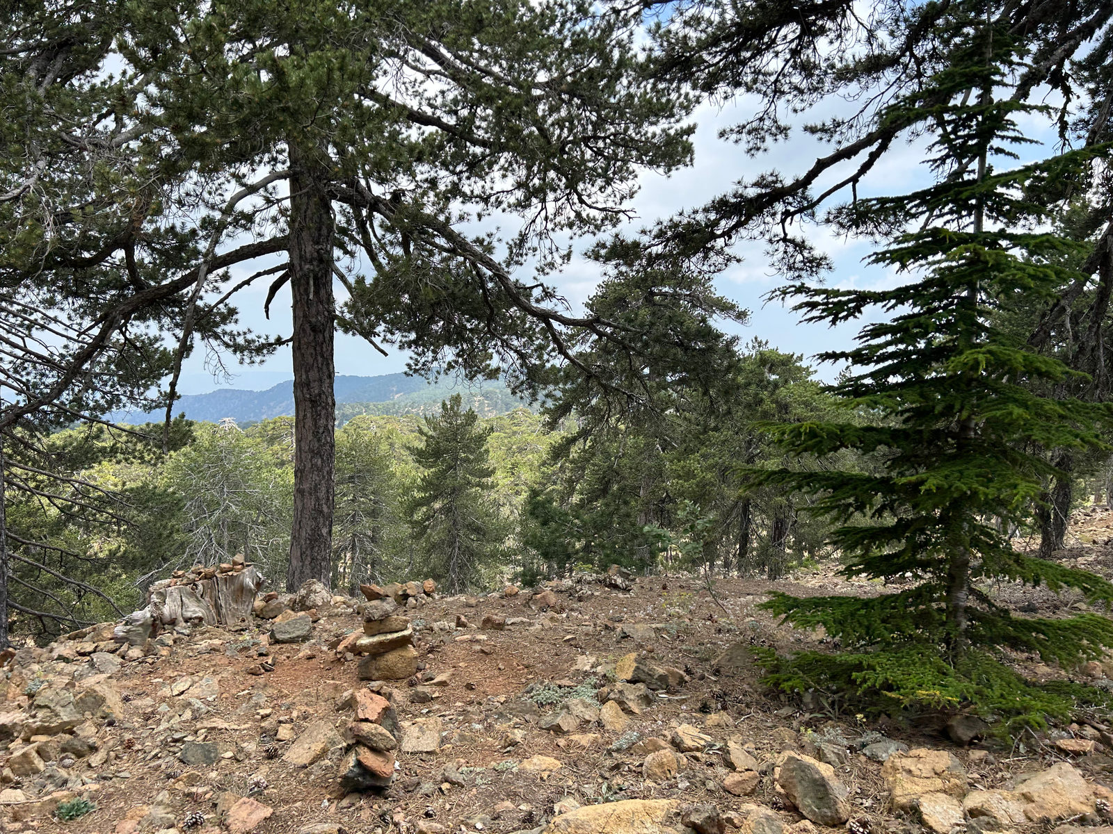 Troodos