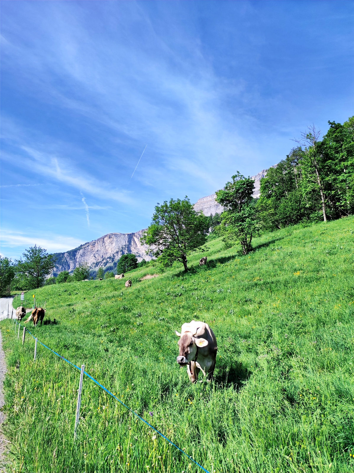 Views around Leukerbad