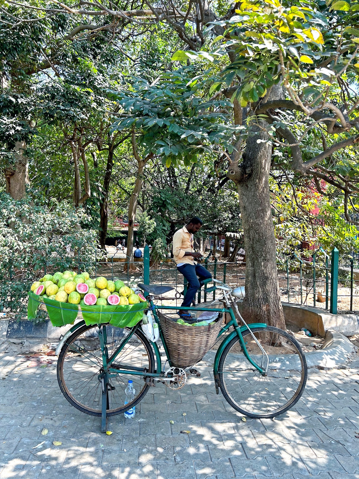 Things To Do In Bangalore, Asia