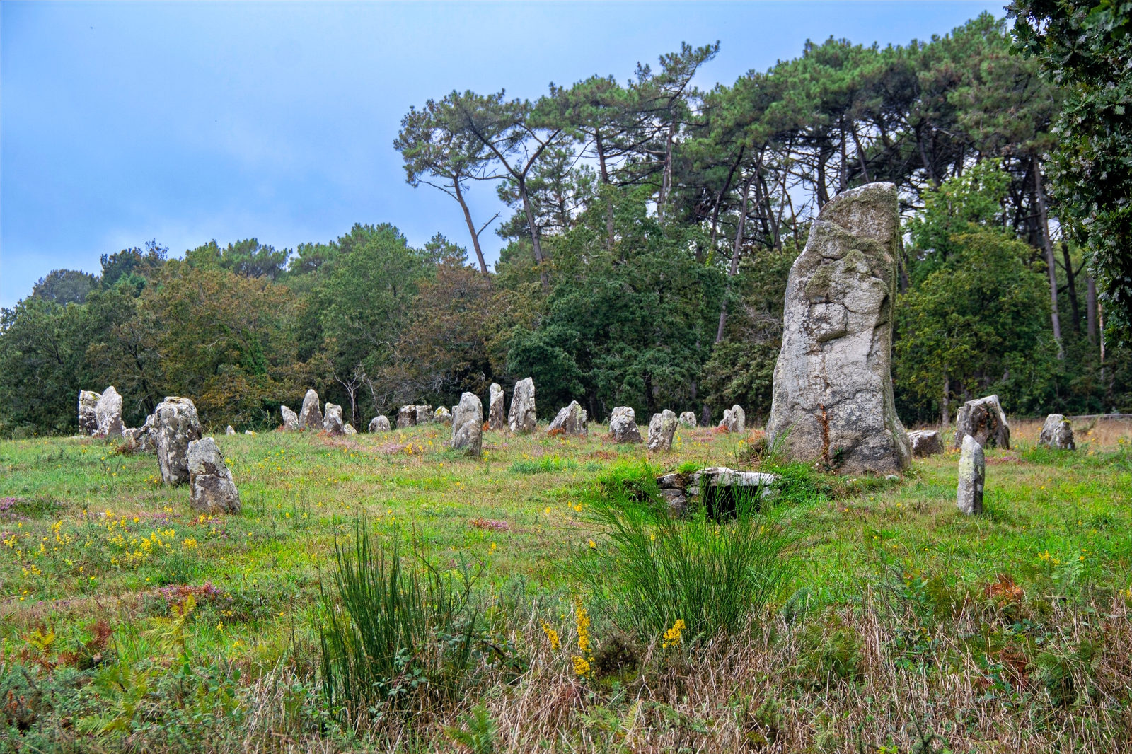 Carnac stones