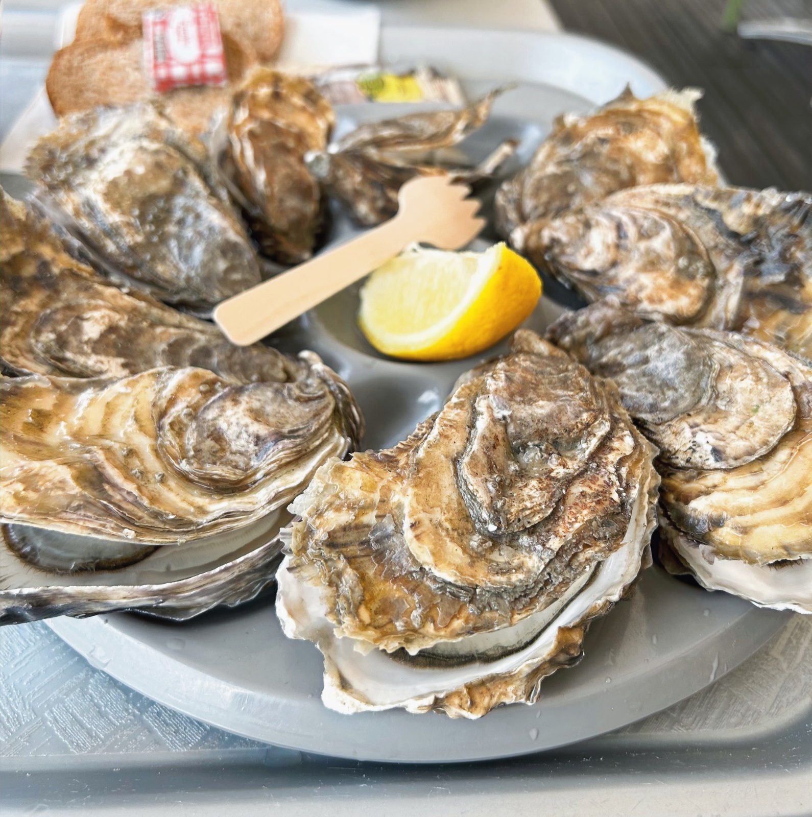 Things To Do In Brittany, France