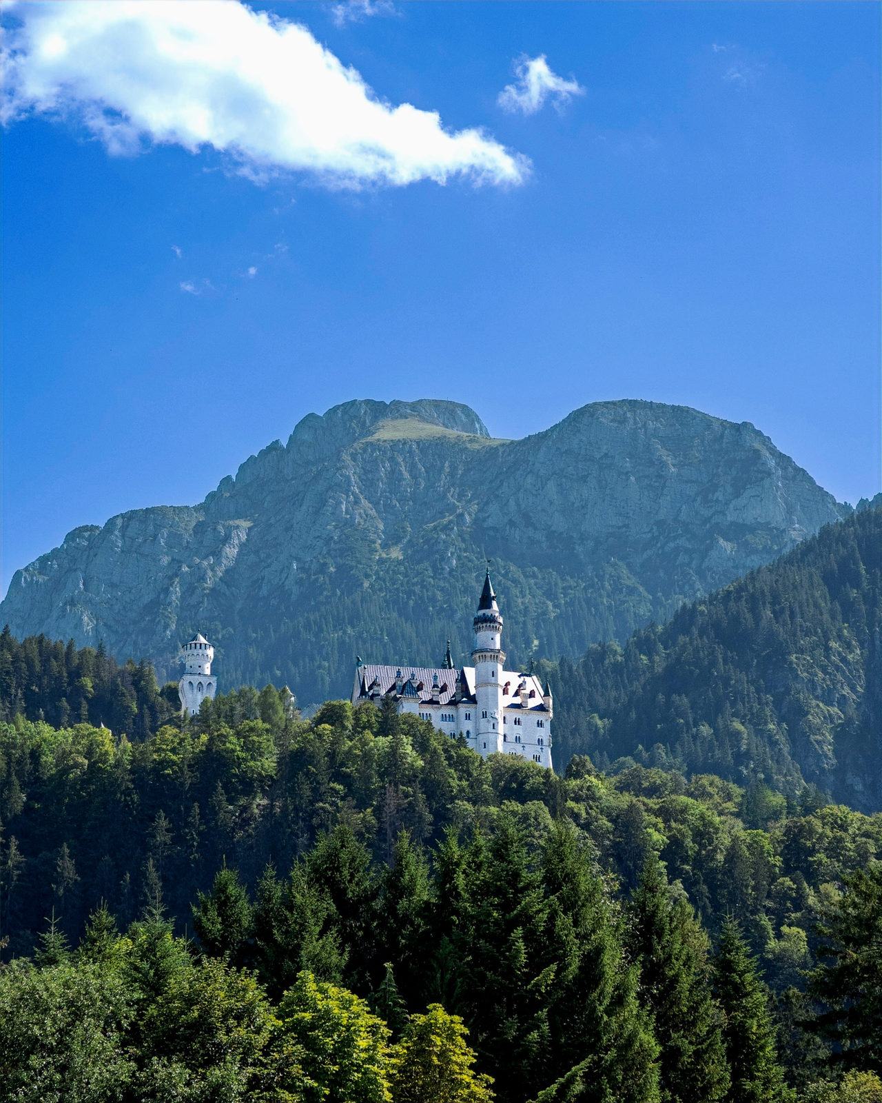 Neuschwanstein castle