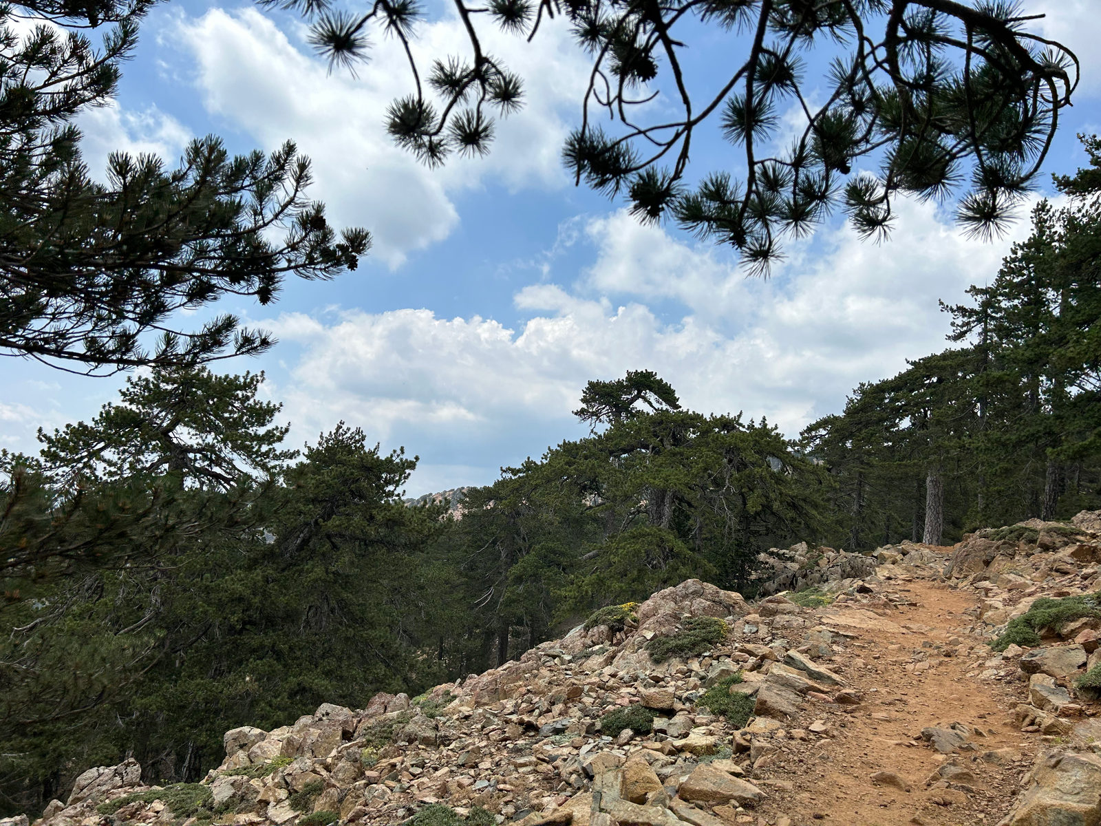 Troodos