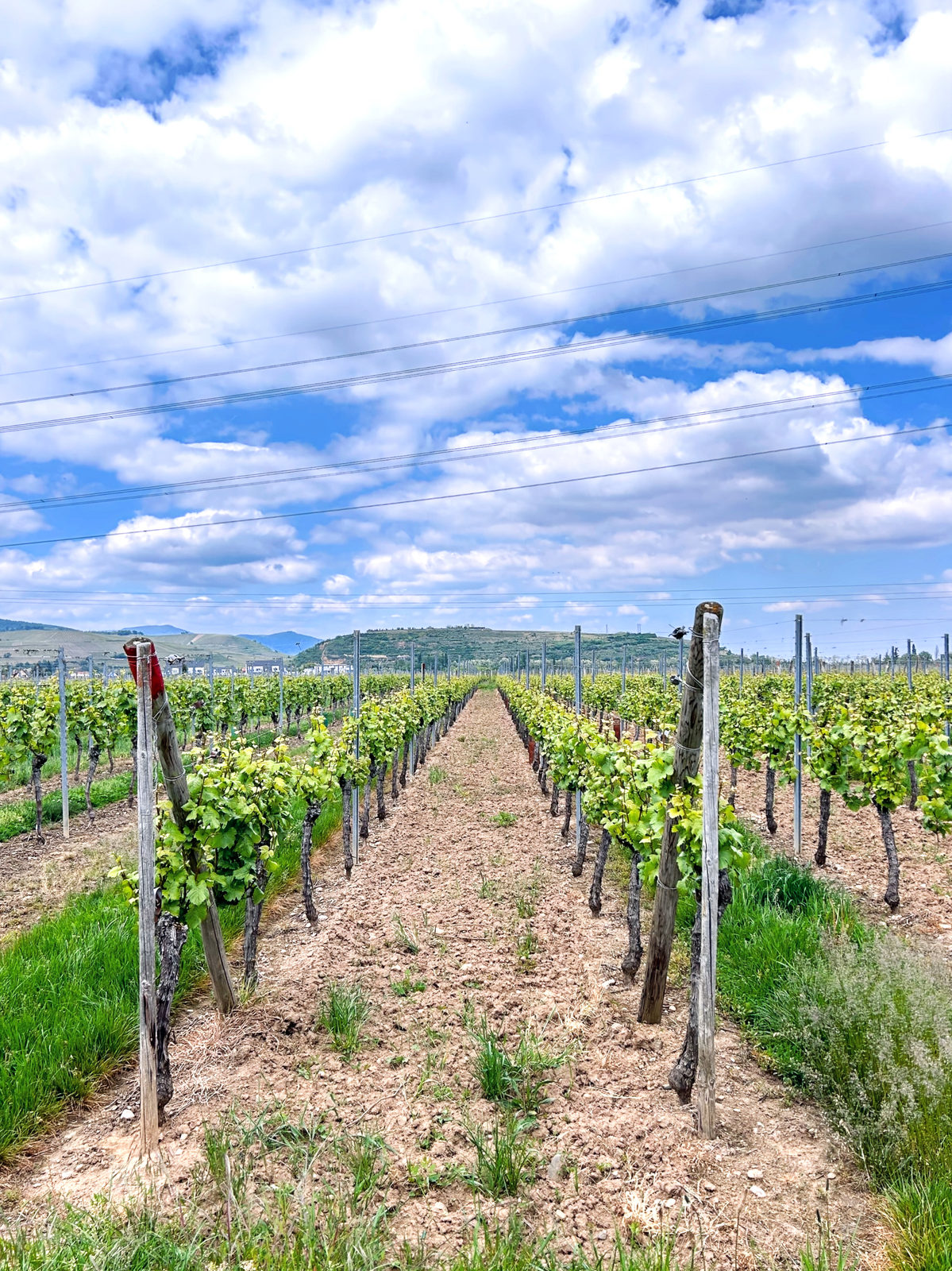 Long Weekend Escape In Alsace & Switzerland, France