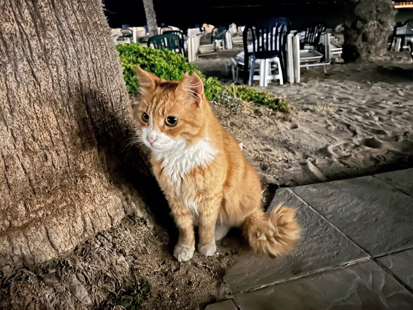 One Week Cyprus Itinerary