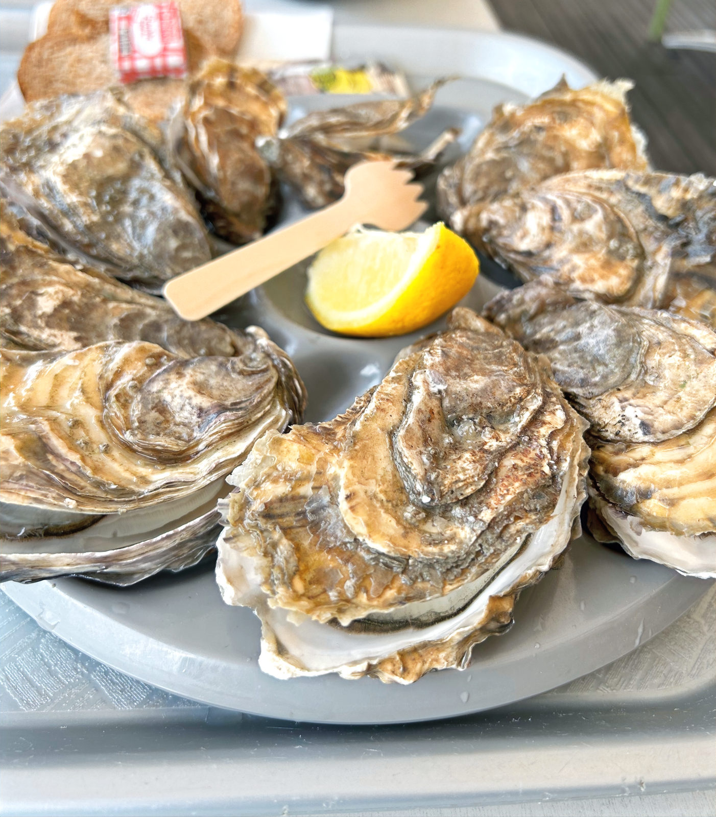 amazing Saint-Malo oysters