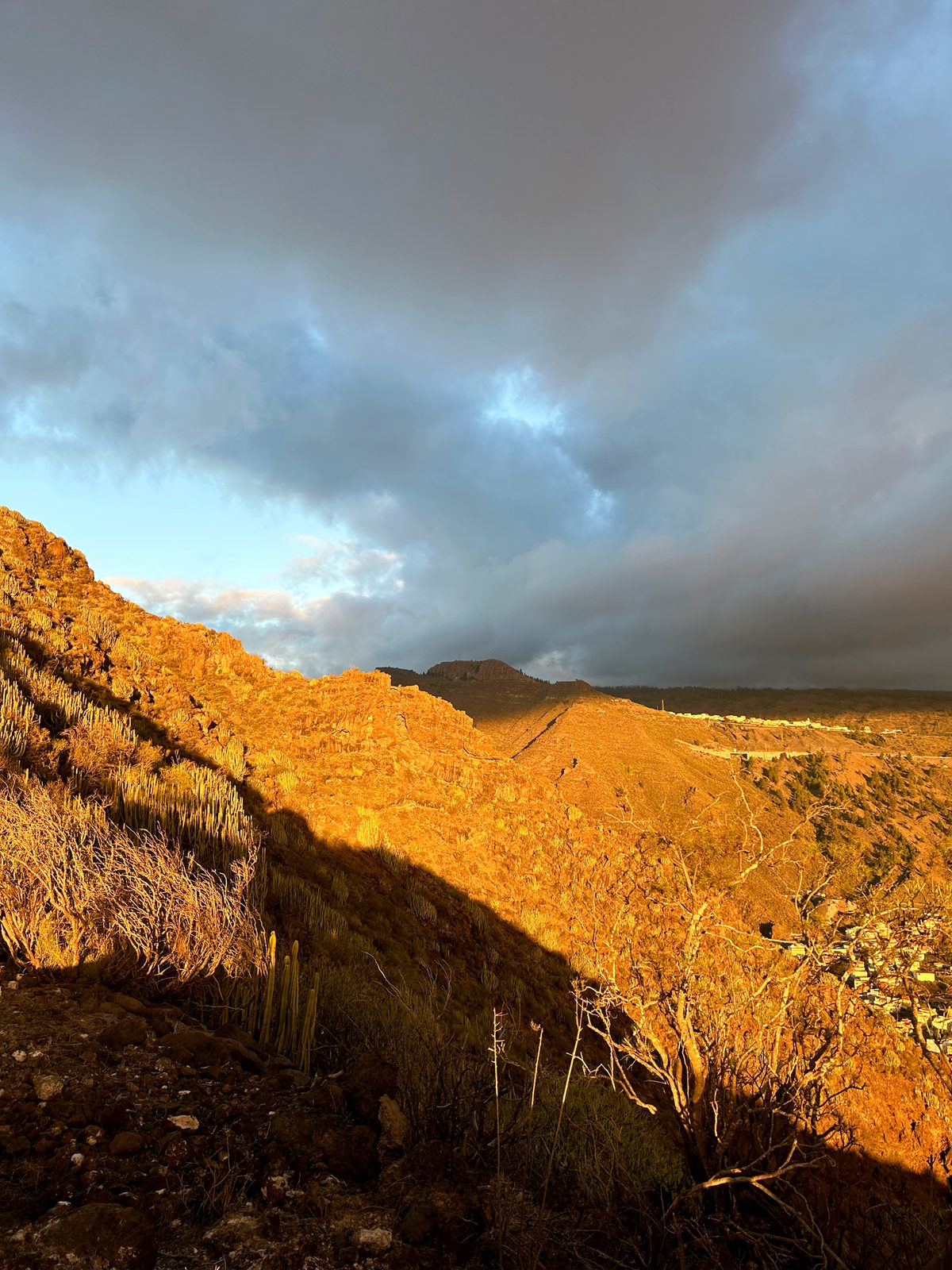 An Unforgettable Week In Tenerife, Spain