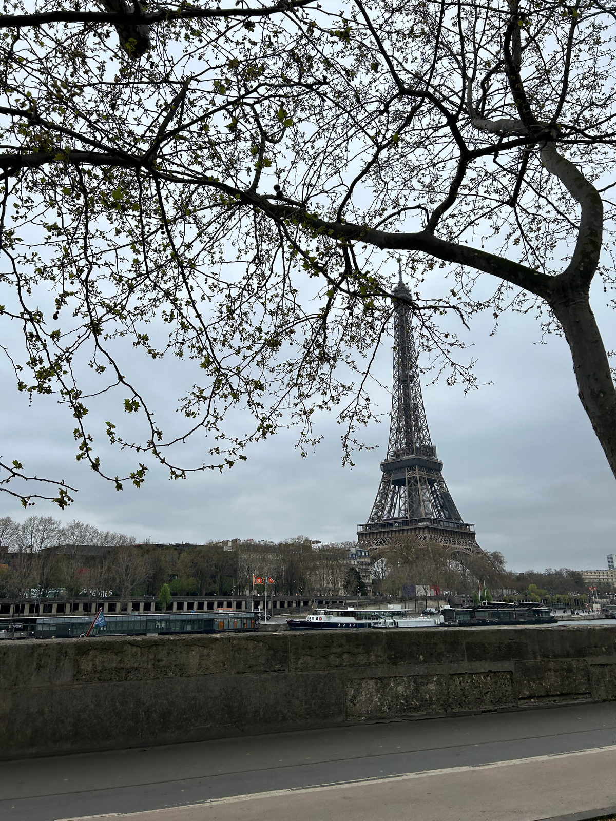 Paris marathon
