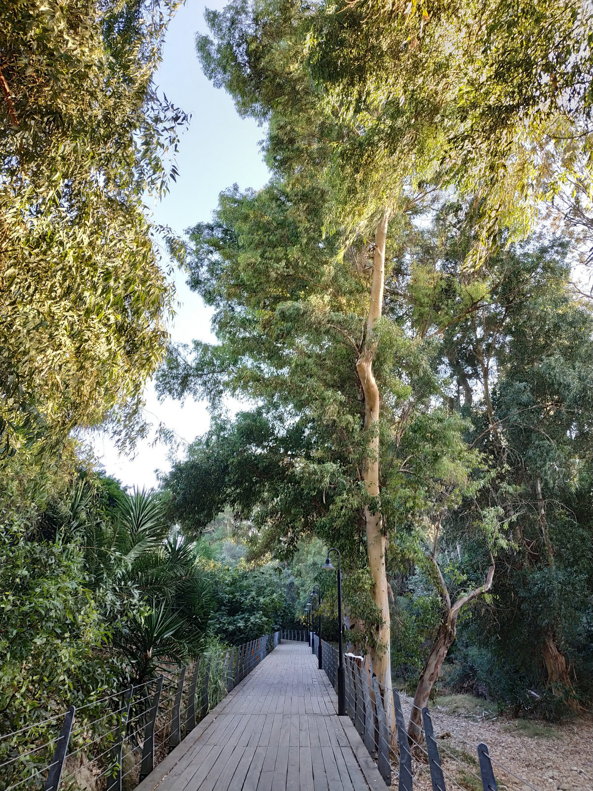 Park in Nicosia