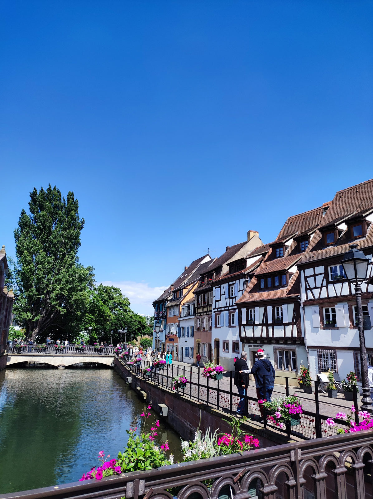 Colmar