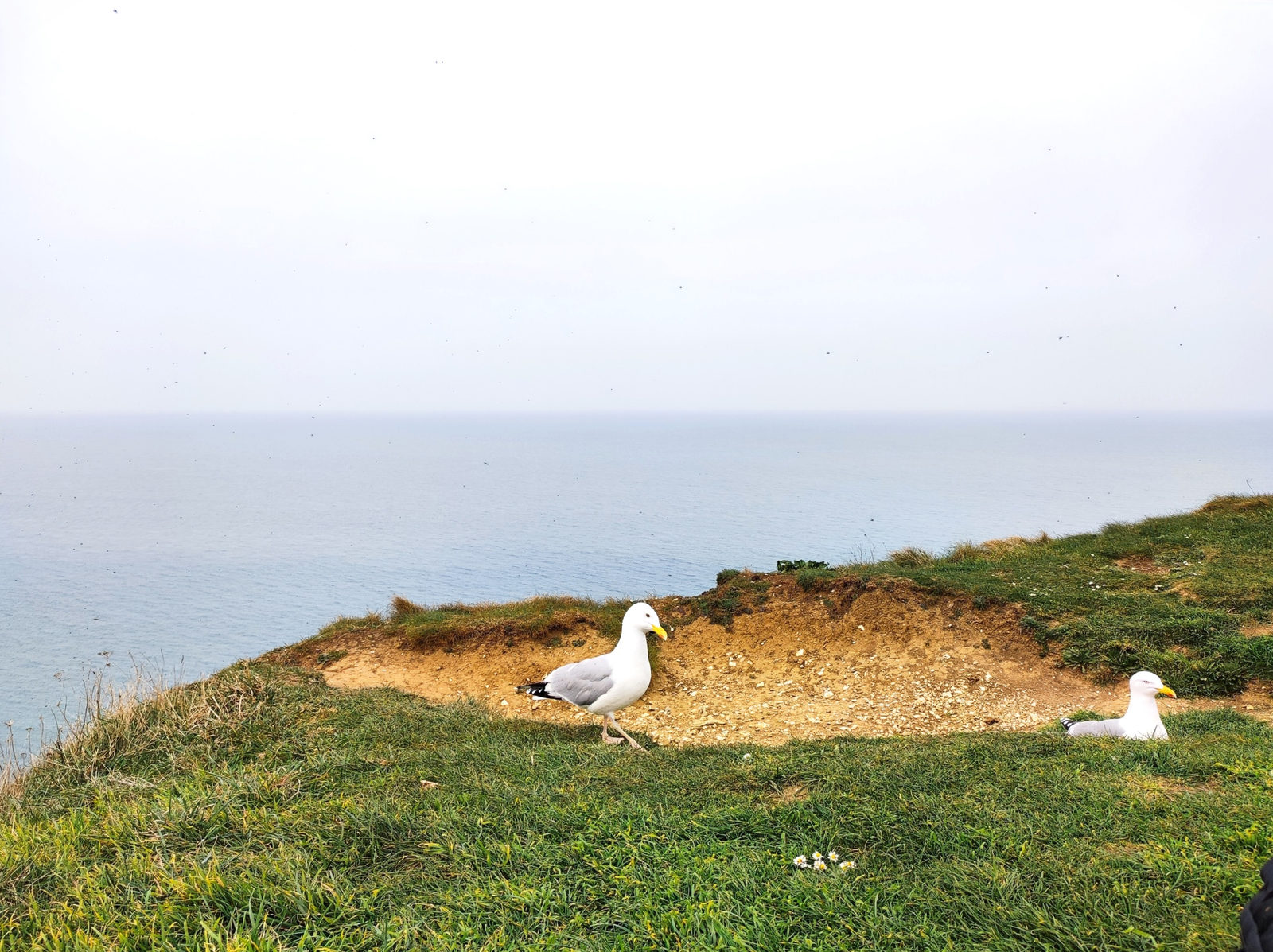 Things To Do In Normandy, France