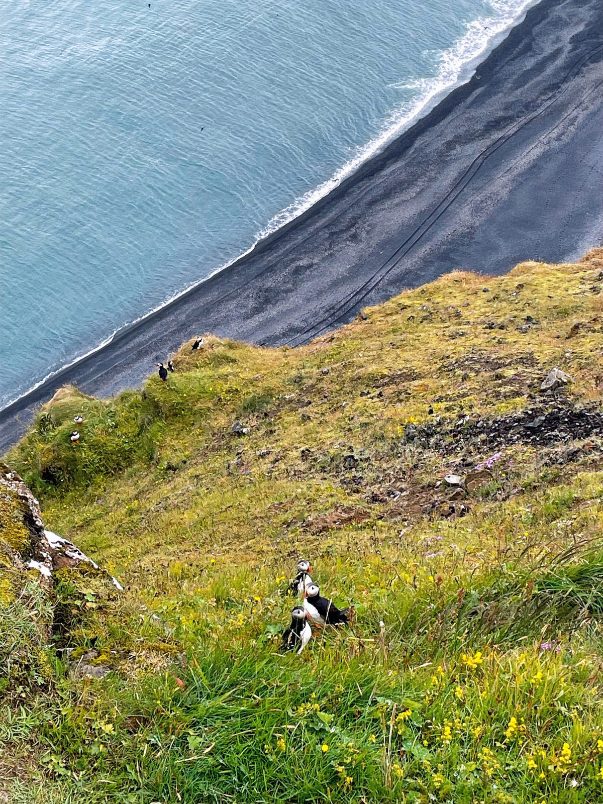 Things To Do in Iceland