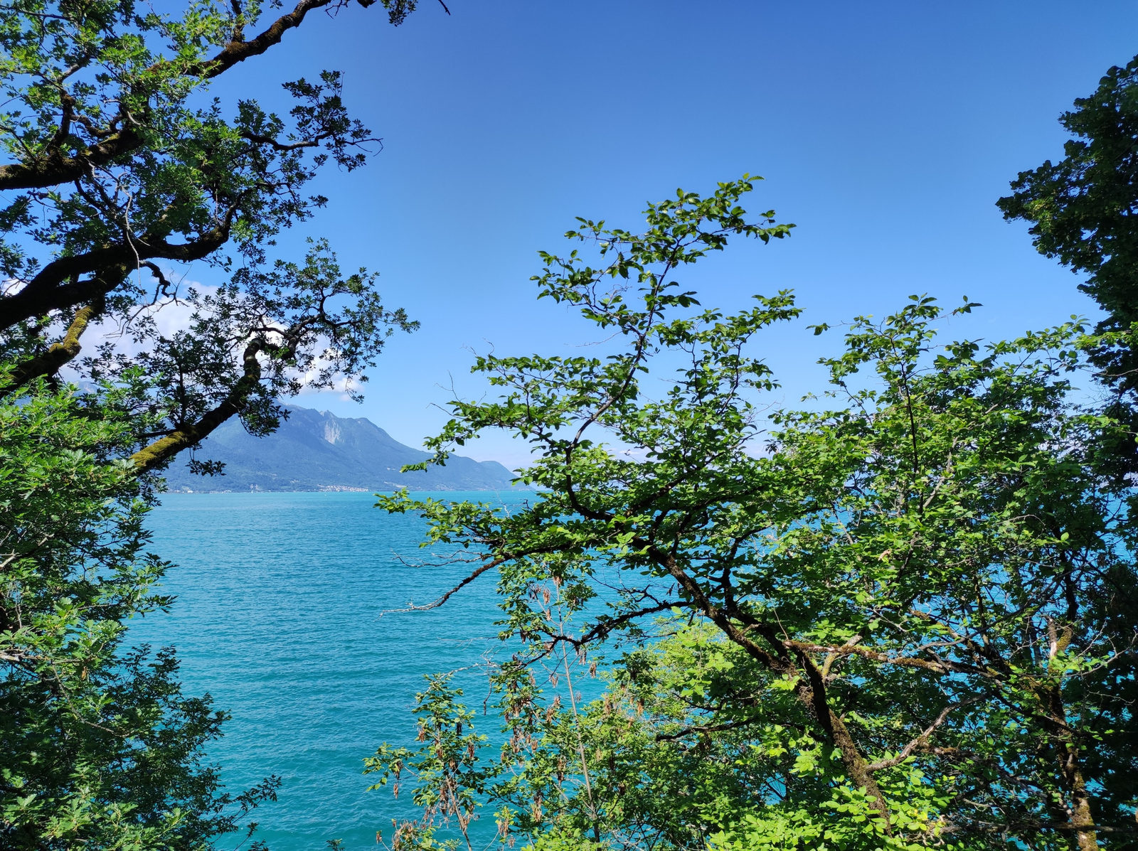 Views of Geneva Lake