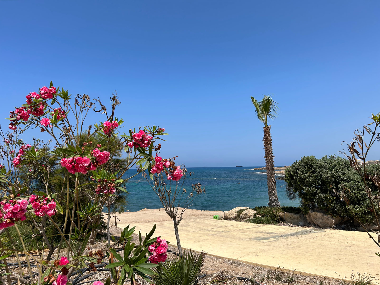 Beautiful Paphos Promenade