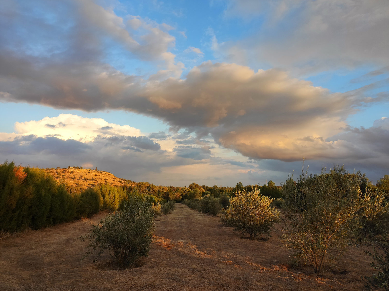 Athalassa park